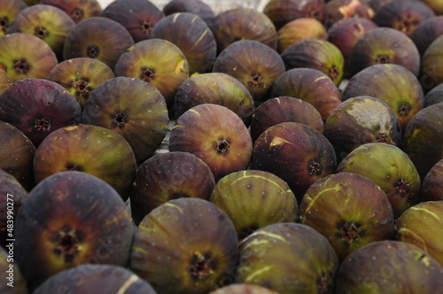 figs on the market © halitomercamci