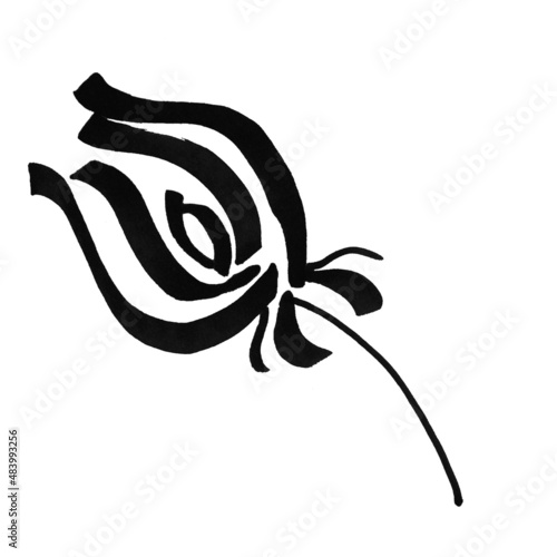 Marker bright black white rose with leaves hand drawn line stroke