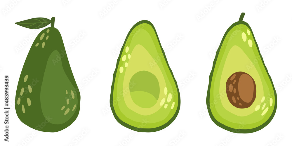 Delicious avocado, whole, cut into halves and with pit. Vector illustration of avocado, isolated on white background. Delicious avocado, whole, cut into halves and with pit. Vector illustration of avocado, isolated on white background.