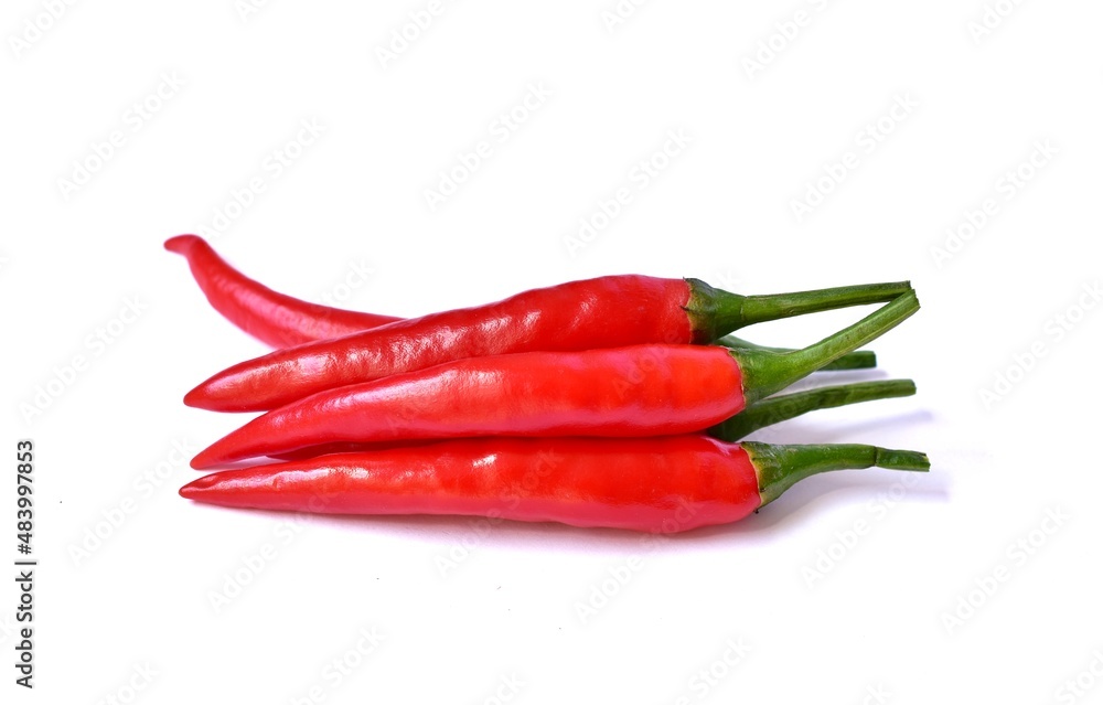 fresh red chilli pepper isolated on white background fresh red chilli pepper isolated on white background