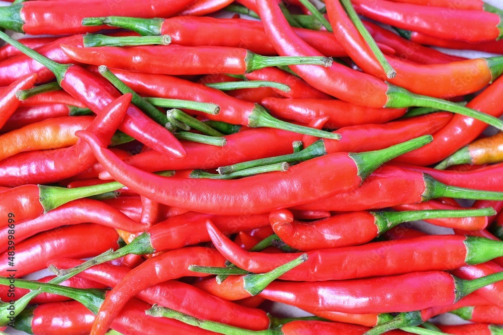 fresh red pepper close-up ripe chili background
