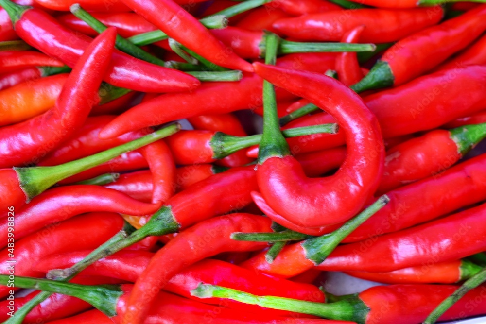 fresh red pepper close-up ripe chili background