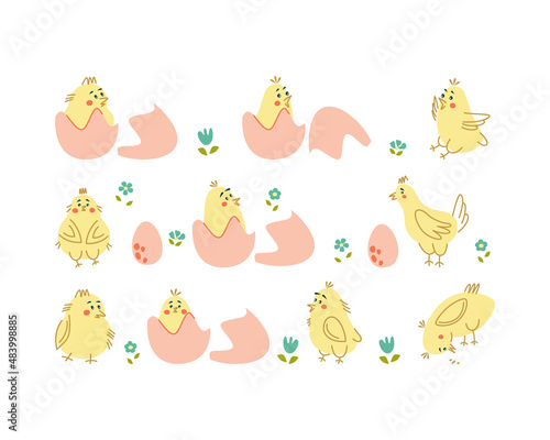 Vector collection with cute chicken, eggs and flowers. Elements for childish and Easter design.