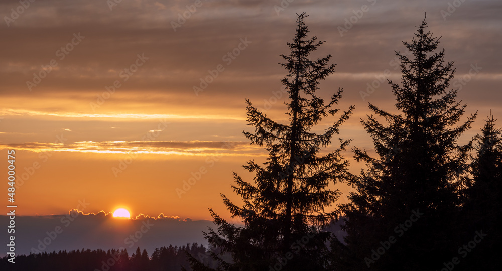 Panorama Silhouette im Schwarzwald