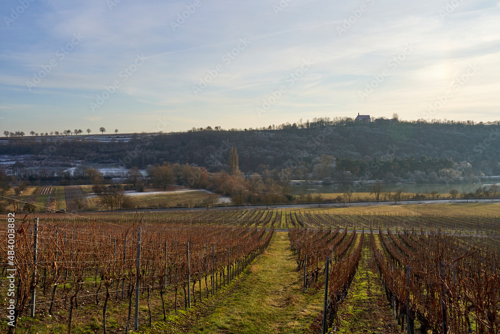 Fototapeta premium Mainschleife und Weinberge bei Fahr am Main mit der Vogelsburg im Hintergrund, Landkreis Kitzingen, Unterfranken, Franken, Bayern, Deutschland