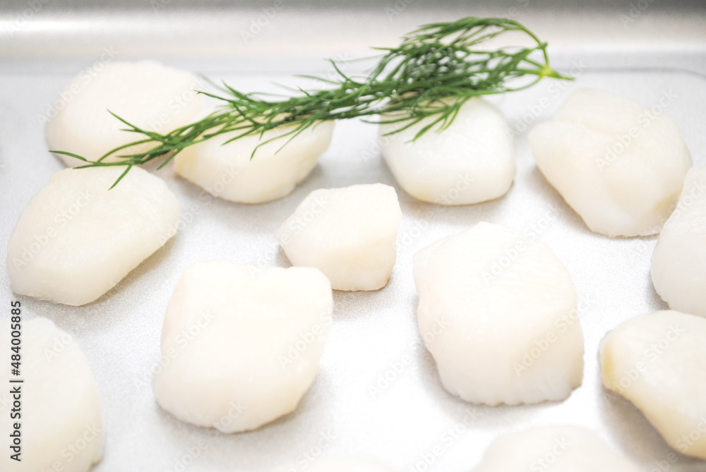 Close-up of Fresh Raw Scallops in a Pan Ready to be Cooked Close-up of Fresh Raw Scallops in a Pan Ready to be Cooked