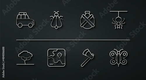Set line Car, African tree, Spider, Wooden axe, safari map, Mosquito, Butterfly and Canteen water bottle icon. Vector