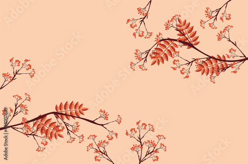 Branches of rowan