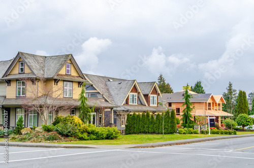 Fototapeta Naklejka Na Ścianę i Meble -  Houses in suburb with Spring Blossom in the north America. Luxury houses with nice white and pink coloured landscape.