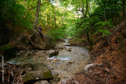 Mountain river through the green forest