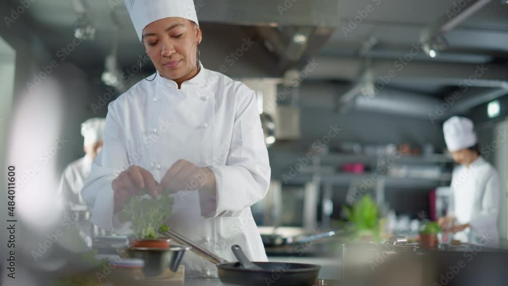 Restaurant Kitchen: Black Female Chef Fries Organic Patty on a Pan, Seasons it and Flips Cutlet with a Smile. Cooking Delicious and Traditional Authentic Food. Healthy gourmet Dishes. Medium Shot Restaurant Kitchen: Black Female Chef Fries Organic Patty on a Pan, Seasons it and Flips Cutlet with a Smile. Cooking Delicious and Traditional Authentic Food. Healthy gourmet Dishes. Medium Shot
