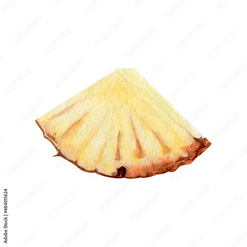 watercolor illustration with pineapple on isolated background watercolor illustration with pineapple on isolated background