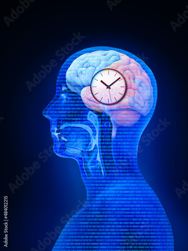 The circadian rhythms are controlled by circadian clocks or biological clock these clocks tell our brain when to sleep, tell our gut when to digest and control our activity in several day. 3d render