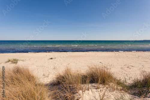 Fototapeta Naklejka Na Ścianę i Meble -  beach in Gotland sea horizon