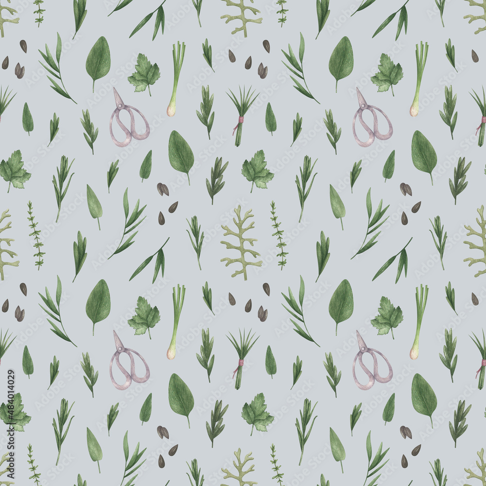 watercolor seamless pattern in vintage style with herbs and spices ...