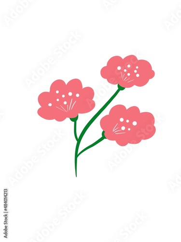 pink flower 