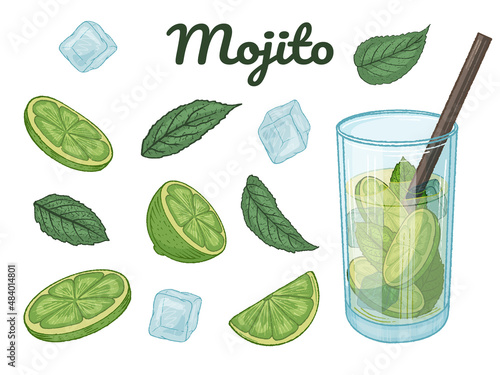 Set of hand drawn cocktail mojito, lime, mint and ice cubes. Vector illustration. Isolated on white.