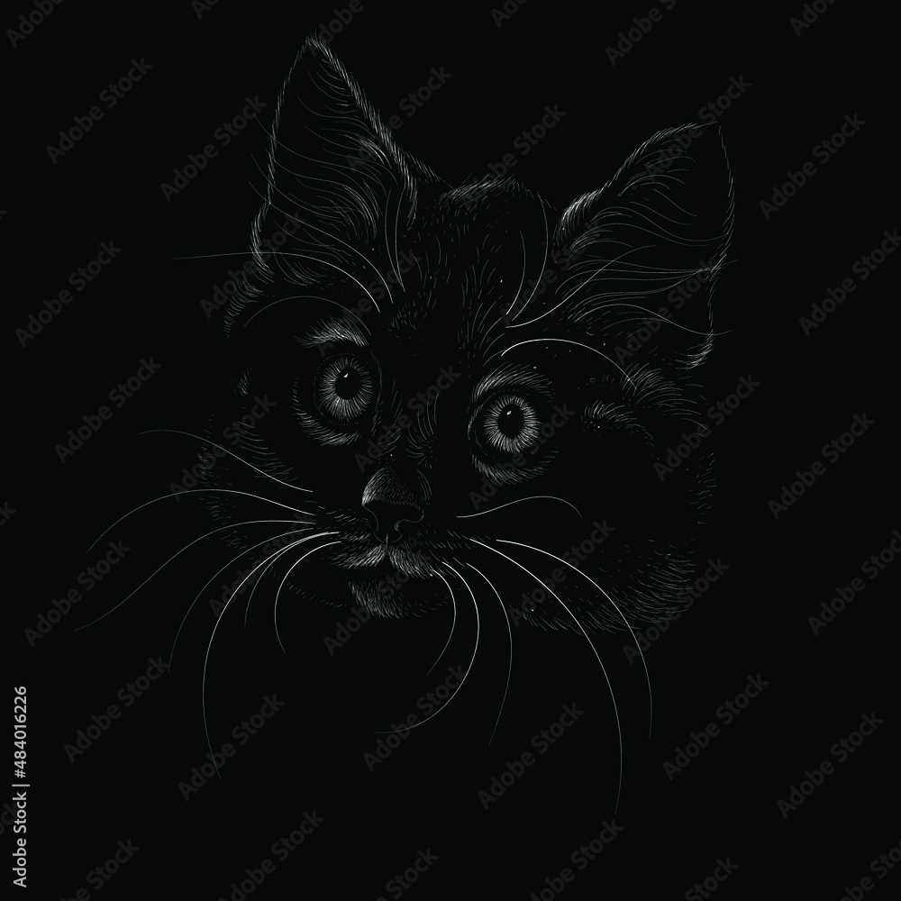 The Vector logo cat for tattoo or T-shirt design or outwear. Cute print style cat background. This hand drawing would be nice to make on the black fabric or canvas. The Vector logo cat for tattoo or T-shirt design or outwear. Cute print style cat background. This hand drawing would be nice to make on the black fabric or canvas.