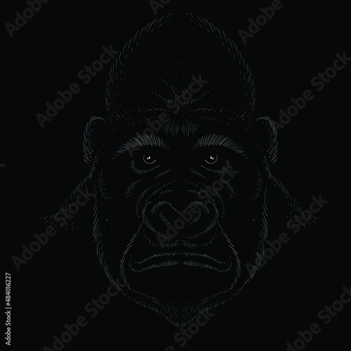 The Vector logo a monkey or gorilla named King Kong for tattoo or T-shirt design or outwear. Cute print style a monkey or gorilla named King Kong background. This drawing would be nice to make.