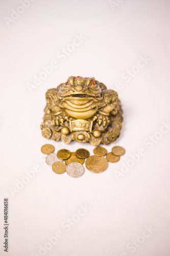 Golden three-legged toad to bring good luck and material well-being into life.