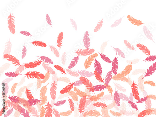 Flying feather elements airy vector design.