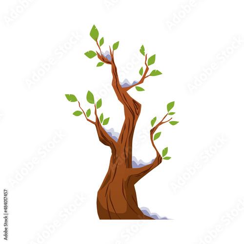 Tree naked trunk, covered in snow, grow new leaf in early spring season, cartoon vector illustration. Isolated.