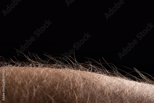 Canvas Print close up of grass