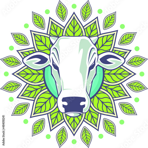 BULL FACE