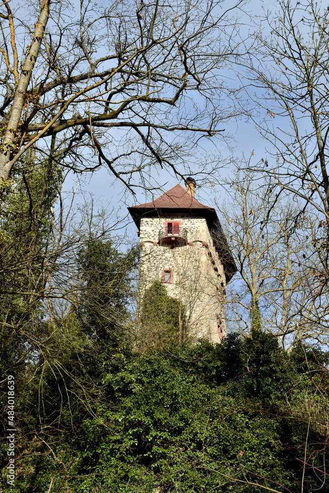 Burg Sponeck im Kaiserstuhl zwischen kahlen Bäumen Burg Sponeck im Kaiserstuhl zwischen kahlen Bäumen