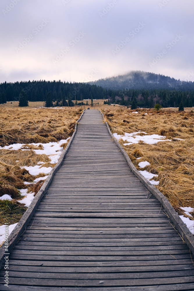 wooden walkway through the nature reserve - peat bog