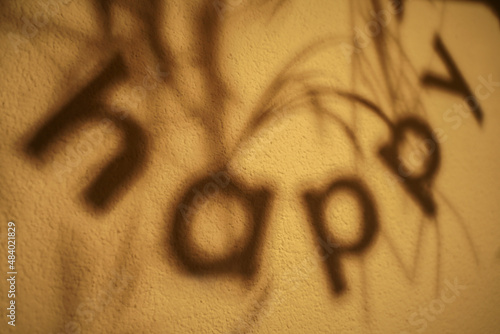 Shadow of a happy birthday banner between plants