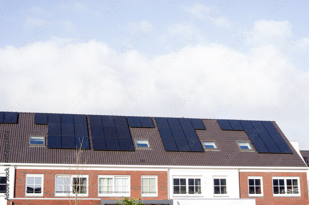Fototapeta premium Terraced houses with brown roofs with solar panels in the Netherlands