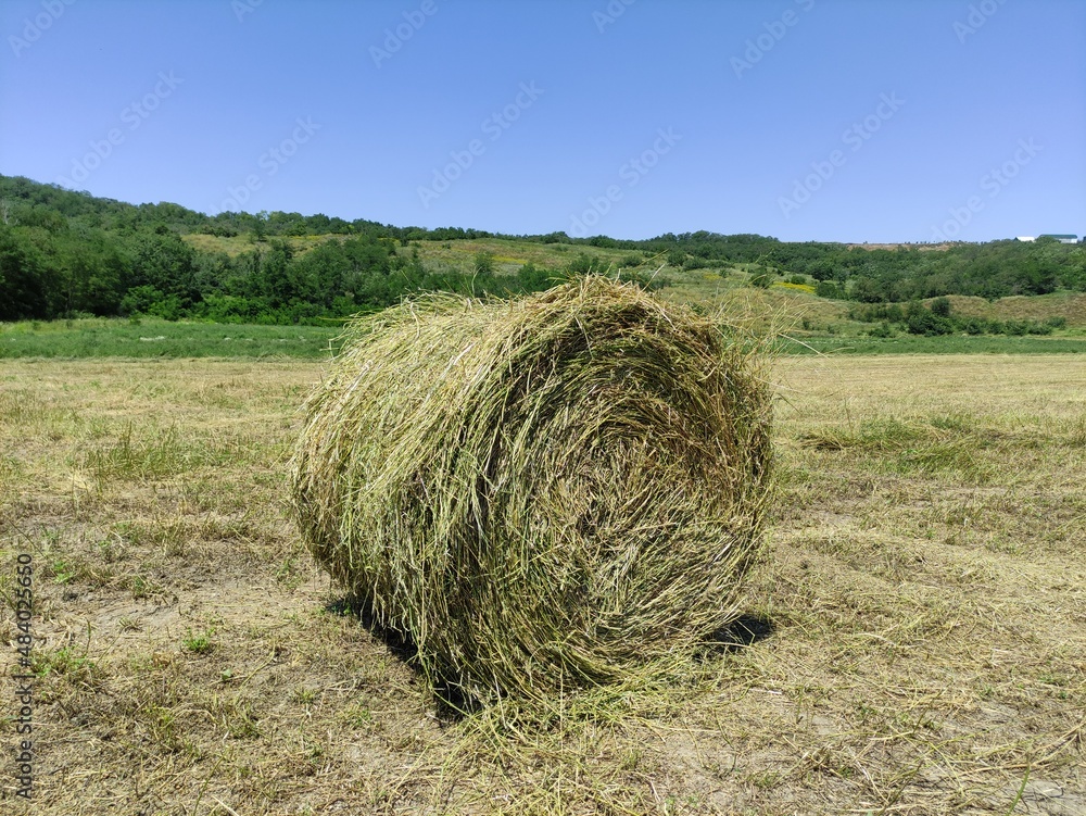 Large rolled haystack on the field Large rolled haystack on the field