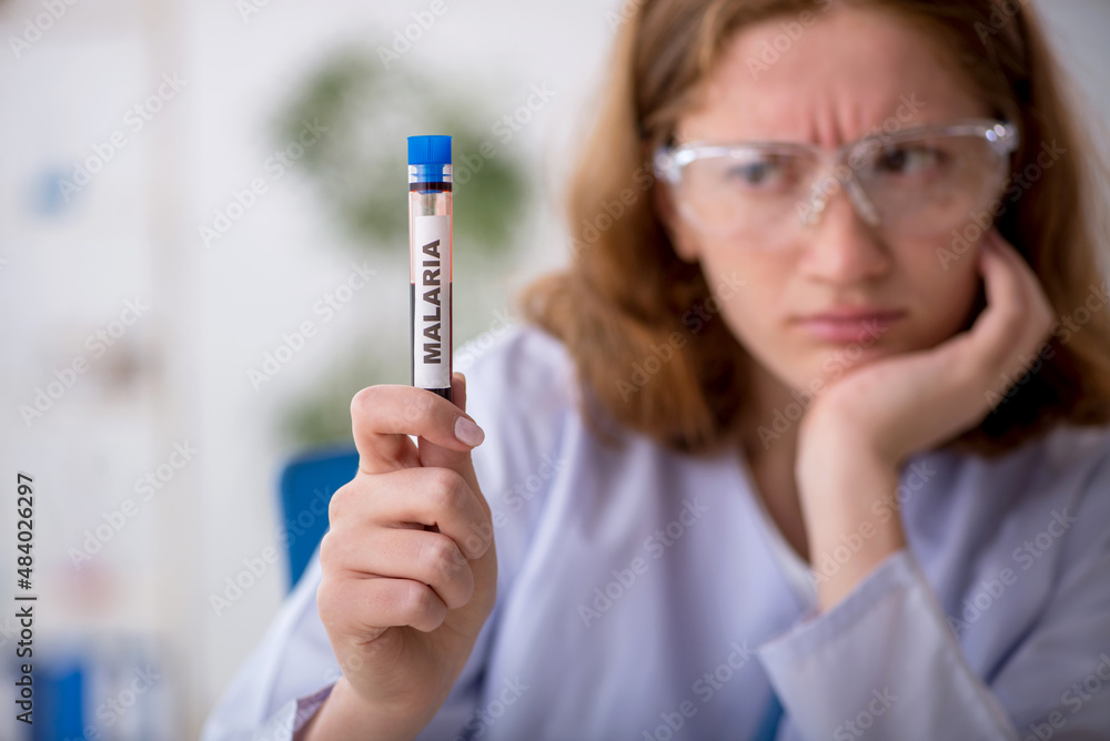 Young female hematologist working at the lab Young female hematologist working at the lab
