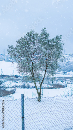 It's a cold winter. It's snowing. Behind the wires is a tree whose branches are covered with snow.