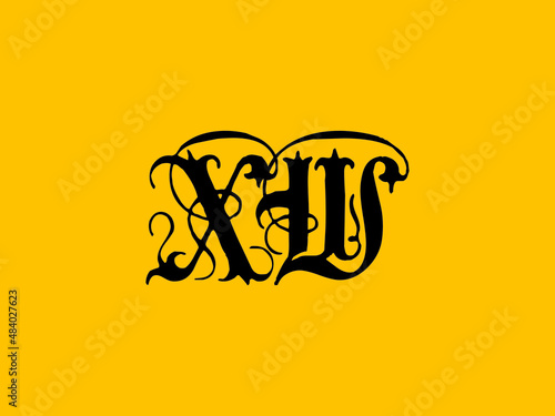 Calligraphy XW Logo, Creative XW abstract letters logo design