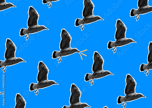 Seamless pattern with a seagull on a blue background. Screaming seagull. contemporary art collage. photo