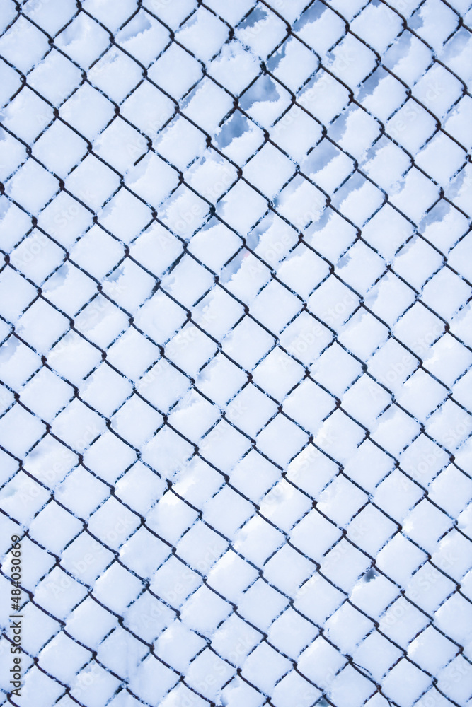 Fototapeta premium mesh in winter on nature in park background