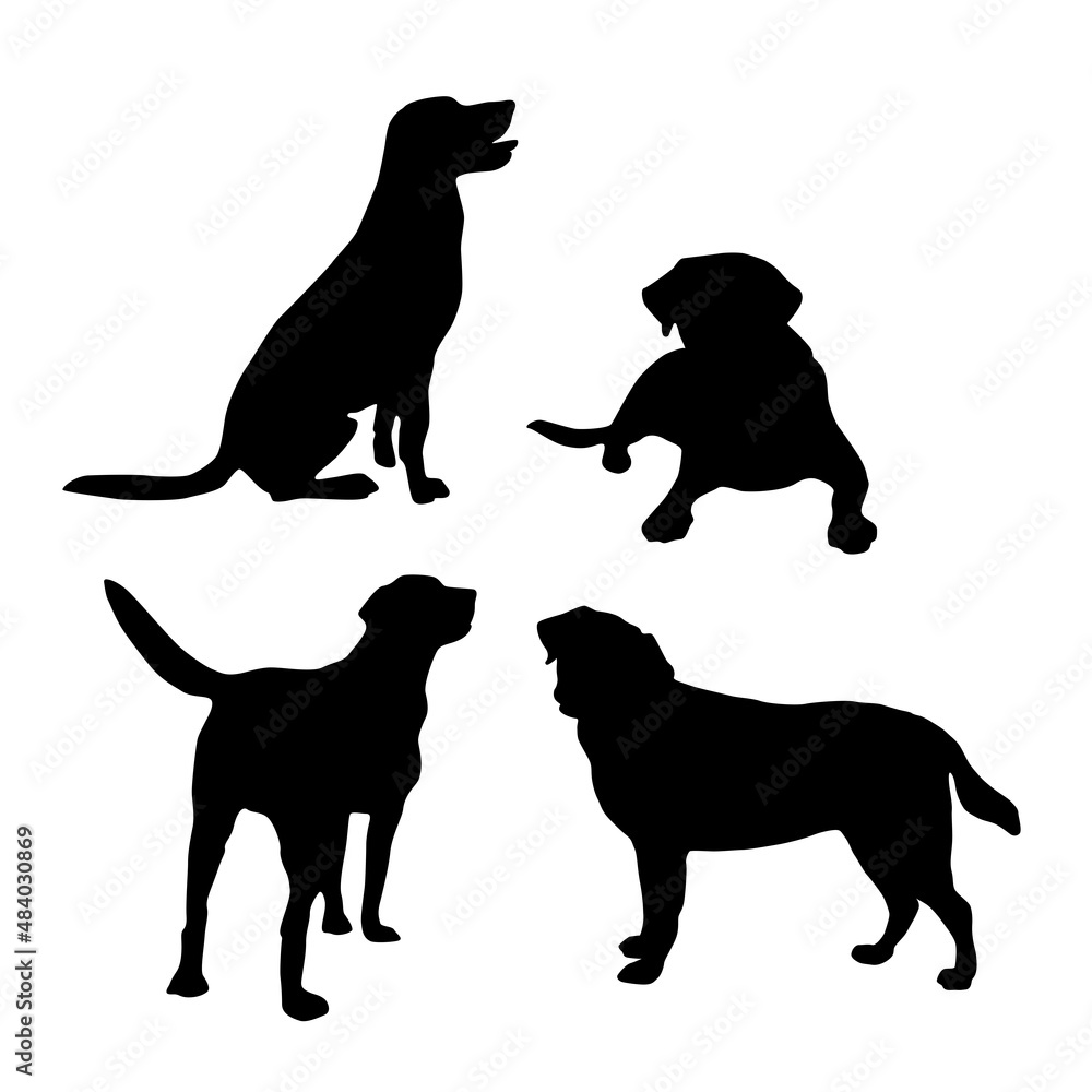 Silhouettes of dogs on white background. Labrador Silhouette set