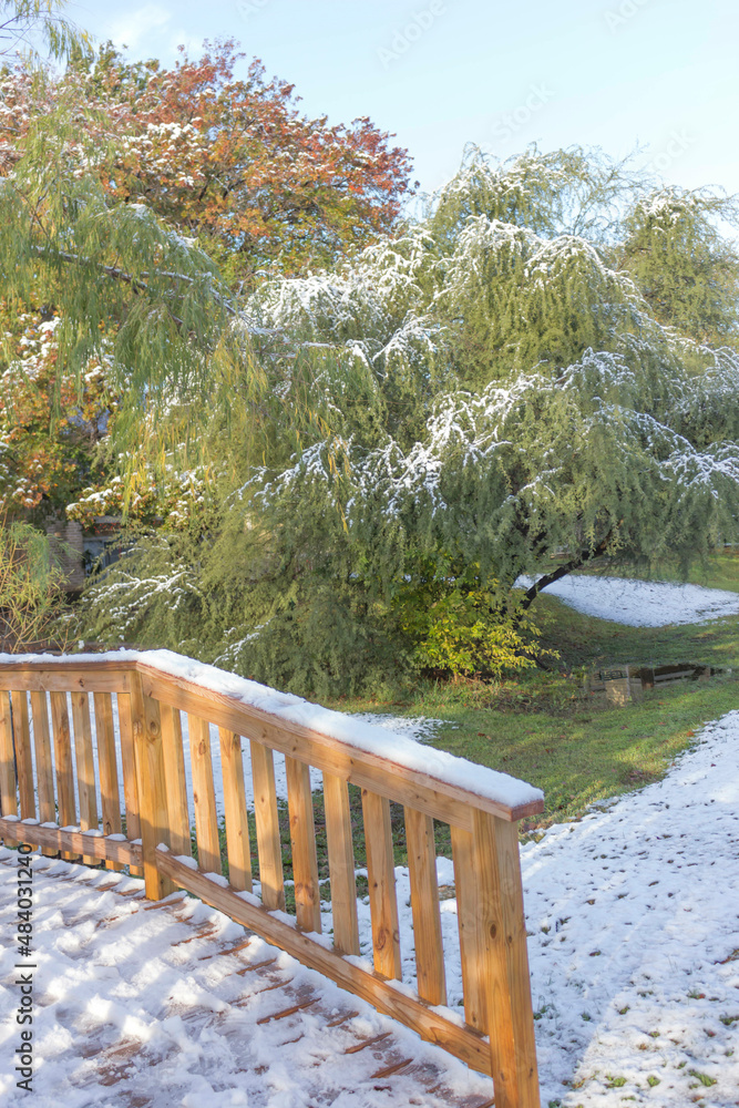 Fototapeta premium wooden bridge in autumn forest