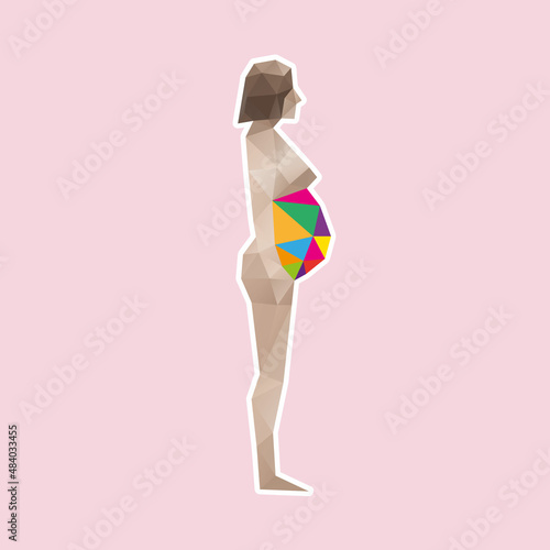 Pregnant woman silhouette abstract, vector illustration