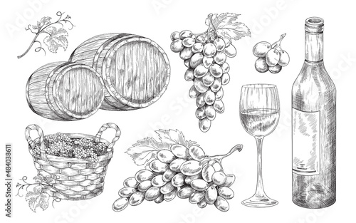 Hand drawn winery elements set, engraving style vector illustration isolated.