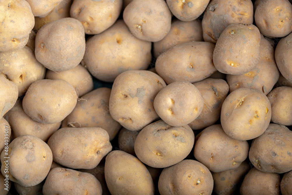 Selective focus of fresh raw organic potatoes on market stall, The potato is a starchy tuber of the plant Solanum tuberosum and is a root vegetable native to the Americas, Nature pattern background. Selective focus of fresh raw organic potatoes on market stall, The potato is a starchy tuber of the plant Solanum tuberosum and is a root vegetable native to the Americas, Nature pattern background.