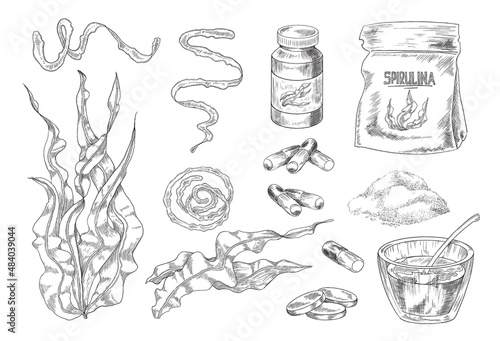 Spirulina plant and dietary supplements, engraving vector illustration isolated.