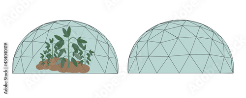 Dome blue greenhouse made of glass with plants inside isolated on white. Use for grow plants in extreme conditions like other planets or adverse weather conditions. Vector illustration.
