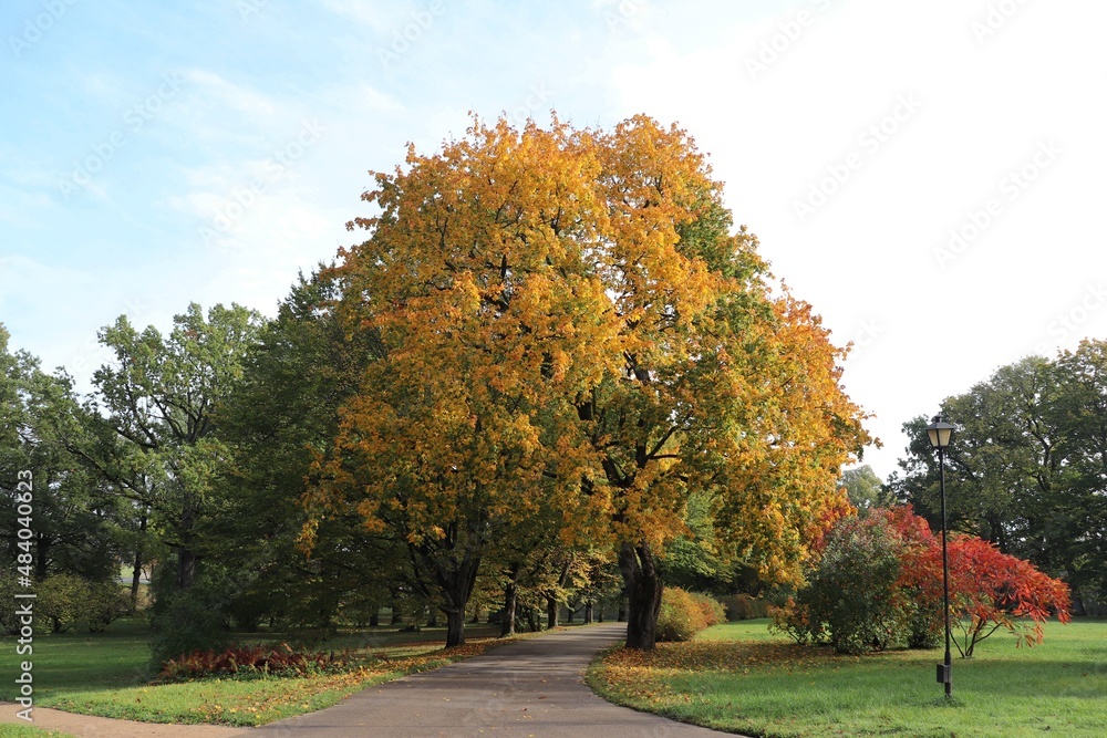 Beautiful nature on Latvian soil when the leaves on the trees turn yellow in early autumn Beautiful nature on Latvian soil when the leaves on the trees turn yellow in early autumn