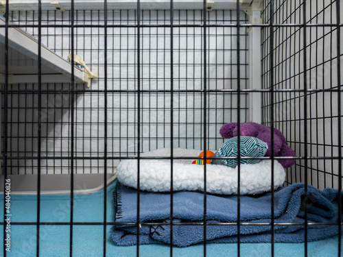 Straight on view of a fresh animal kennel inside a vet office, with blankets and other fresh bedding set out
