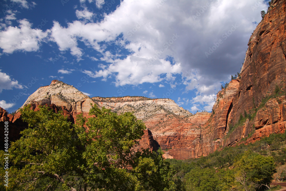 The shades of red painted on the cliffs of Zion National Park