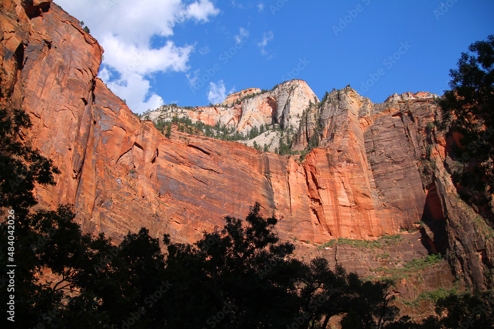 The shades of red painted on the cliffs of Zion National Park