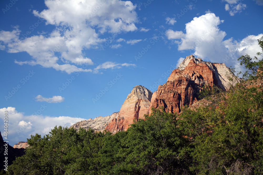 The white and red iconic peaks on top of the green trees of Zion National Park The white and red iconic peaks on top of the green trees of Zion National Park